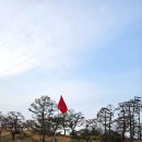 알프스퍼블릭 | ⛳ 포천 베어크리크 CC 라운드 후기｜코스 특징·난이도· IN OUT 비교 정리