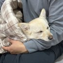 교동짬뽕인동점