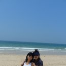 대천해수욕장 이미지