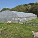 진안공인중개사사무소 이미지