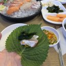 나혜석거리 야장술집 분위기 좋은 물고기선수촌 횟집 솔직후기