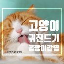 365동판교동물병원 이미지