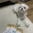 덕포농장 이미지