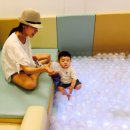 엔젤스 도그 이미지