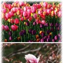 뉴OK공인중개사사무소 이미지