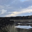 조차 스테이 이미지