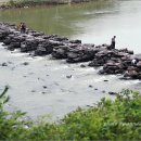 물안뜰마을 이미지