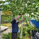 종암농장 이미지