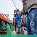 즐거운낚시 이미지