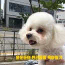 뭉살롱 이미지
