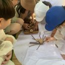 민백초등학교1 네이버블로그