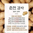 농민주유소 | 내란성 두통