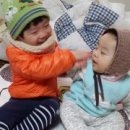 키즈카페리틀팝 이미지