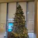 2024 스페셜 발레 갈라 in 제주 | [제주]제주공항근처 제주시 가성비 좋은 신라스테이 숙박후기