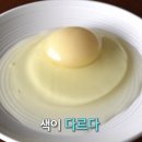 유나네 자연숲농장