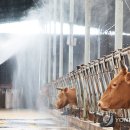 산우리농장 이미지