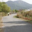 신장둔치 이미지