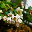 (주)석지 이미지