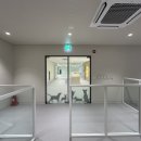 오늘도 힘차개 이미지