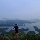 게으른 악어 이미지