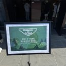 캠핑아일랜드 | 남이섬 트래킹 온 아일랜드 내돈내산 후기 감성 캠핑 느낌 추천