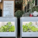 엔와이빌딩