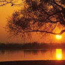 아름다운삶 이미지