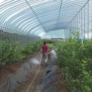 원영농장 이미지