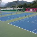 붕어섬테니스장 이미지