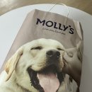 몰리스펫샵 센텀 | [부산 센텀시티 몰리스펫샵] 강아지 노즈워크 간식 추천