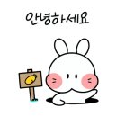 에이스서프 이미지