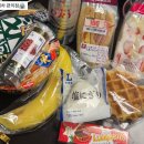 pet 14라9261 | 엄마 아들과 도쿄 여행기 🤯