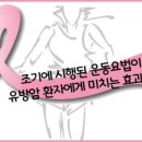 금마보건지소 이미지