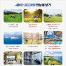 알파골프 이미지
