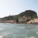 행금도 투어코리아