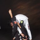 타이거 주짓수 이미지