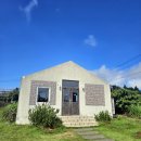 카고커피CAR GO COFFEE | 제주 블루리본 4개있는 에크타르트맛집 성산카페 아줄레주 내돈내산 솔직후기