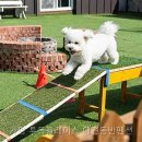 투독플레이스펜션