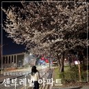 제일공원(도시공원) 무주초 테니스장 | 충북혁신도시 벚꽃을 제일 빨리 볼 수 있는 센트레빌 아파트 산책 후기(26.4.)