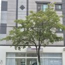 이엔헤어 이미지