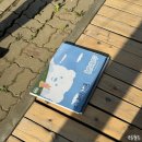 문터골 | 서울 근교 경기도 촌캉스 숙소 <문터골연가> :: 5명 단체 우정 여행 후기