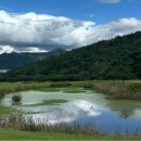 속리산cc 이미지