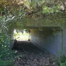 탐라목장 이미지