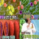 한국고려홍삼제조 이미지
