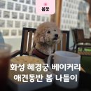 카페4월 | 화성 혜경궁 베이커리 애견동반 가능한 한옥 대형카페 4월 방문 후기