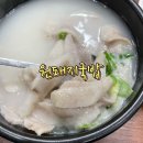 원돼지국밥 - 창원시 의창구 | 원돼지국밥
