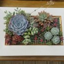 명원농장 이미지