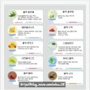 홀릭코리아 | 여의도 전자담배샵 추천｜홀릭 여의도점 홀릭 후루츠 솔직후기