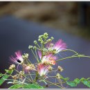 에로스산장 이미지