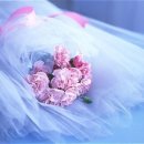 포근히 - 정읍시 중앙로 107 | 포근히